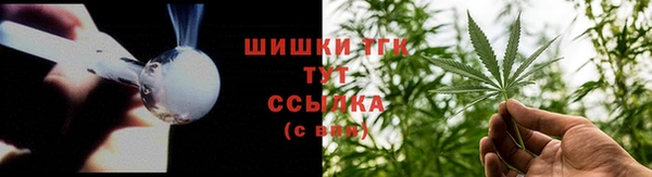 сатива Волоколамск
