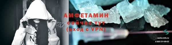 сатива Волоколамск