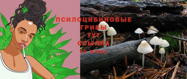 mdma Козловка