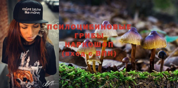 mdma Козловка