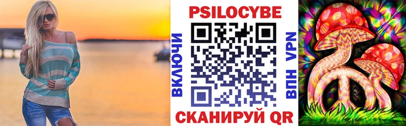 Купить  Каменногорск  Псилоцибиновые грибы Cubensis 
